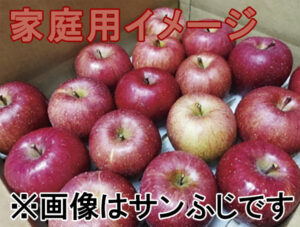 if03-k5