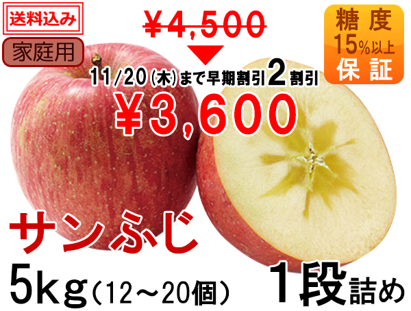 if02-k5