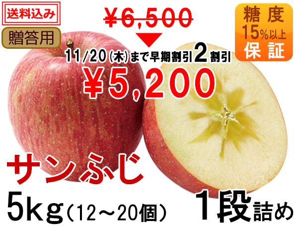if02-z5