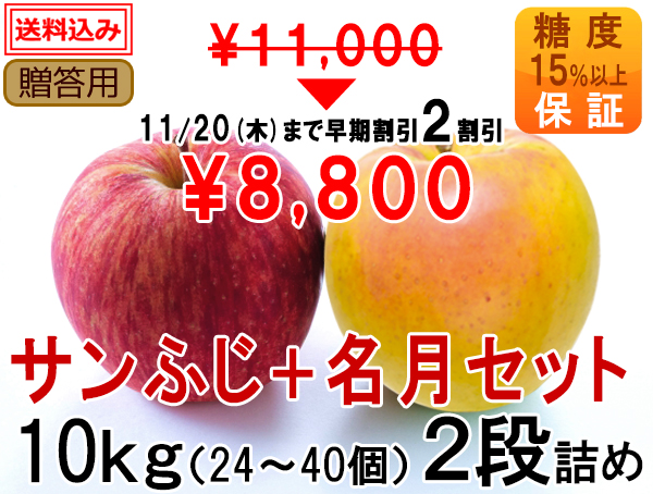 if05-z10