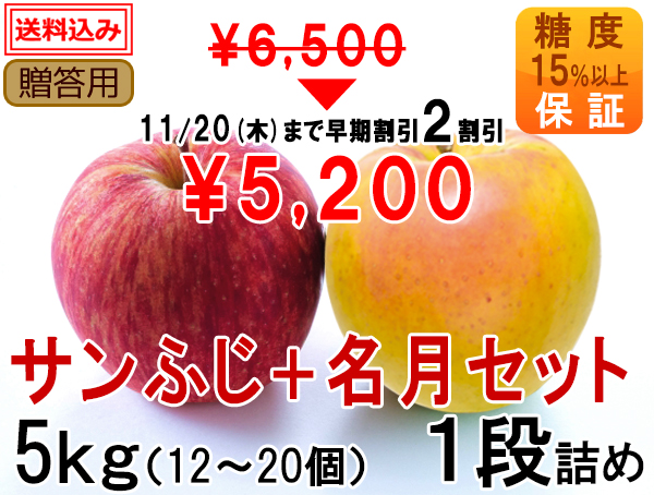 if05-z5